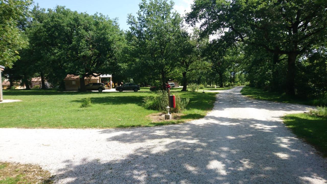Holiday park Domaine De Miraval